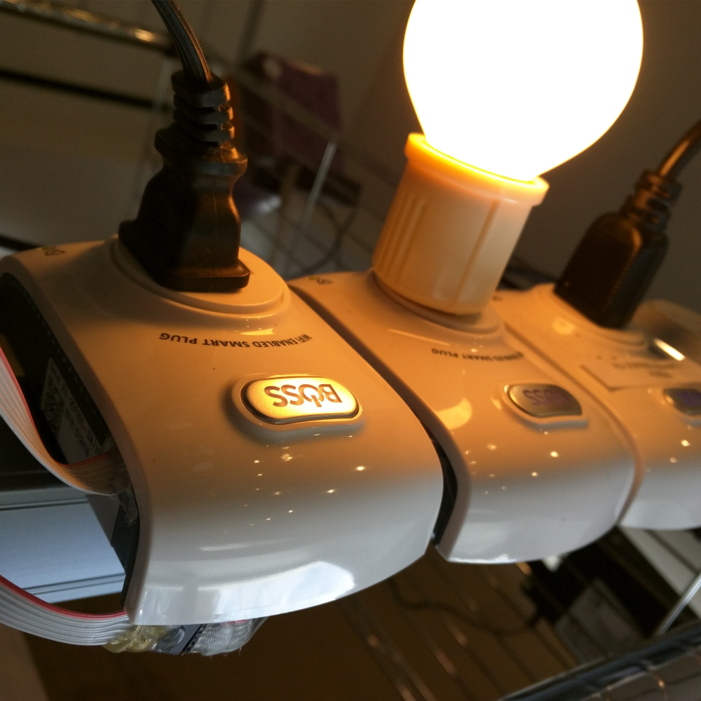 Client Stories — Bridge Fusion Systems LLC